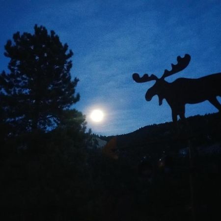 Alpine Moose Lodge Lake City 外观 照片